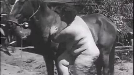 A szex pornofilmek ingyen lány az erdőben kiterítette a lepedőt, és lefeküdt maszturbálni.