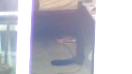 Meztelen nők feküdtek a parton, pornó filmek amikor odajött hozzájuk egy zsellér, és megbaszotta őket.