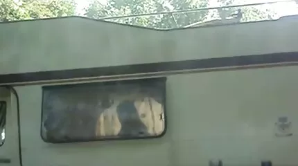 Szakállas fasz baszik a menyasszony a konyhában a punciban és a szájban. anál videók